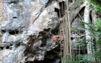 Grutas de Loltún