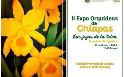 II Expo Orquídeas de Chiapas