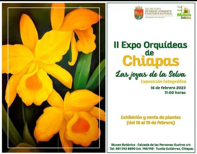 II Expo Orquídeas de Chiapas
