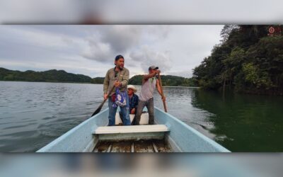Otra Mirada a Laguna Guineo